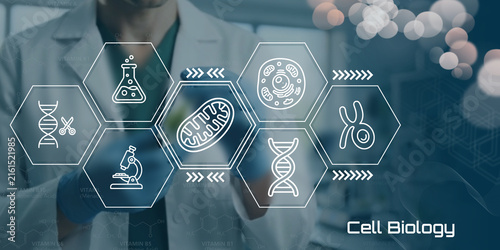 Принти на полотні Modern science laboratory with cell biology icons and researcher in lab coat