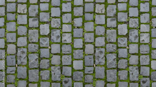 Flatlay cobblestone pavement texture with square grey stones with green moss between the stones