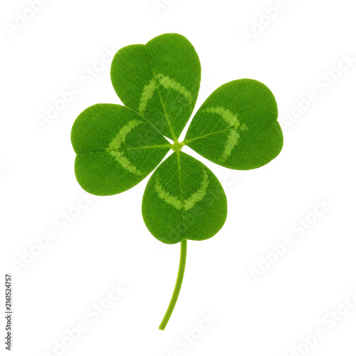 Quadro su tela Vibrant green four-leaf clover with distinct white markings on each leaflet, iso