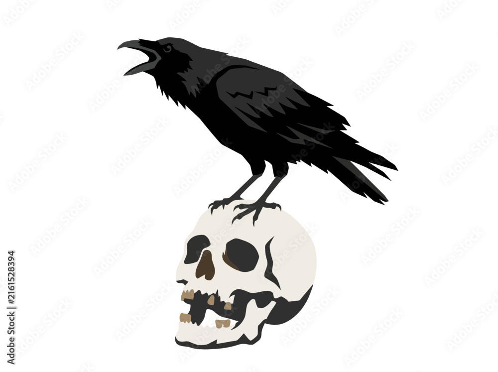 Fototapeta premium Gothic Raven Perched on Human Skull Vector Illustration