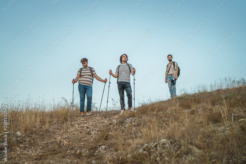 Fototapeta premium Group of friends hiking mountain trail with trekking poles