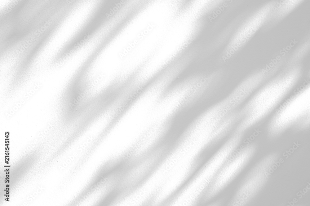 Fototapeta premium Abstract natural tree branch leaves shadow on white wall background