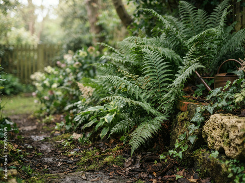 Lush fern garden with weathered metal watering can resting on stone ledge amid mossy foliage
