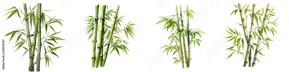 Obraz premium Arrangement of vibrant green bamboo stalks and leaves against a stark black background