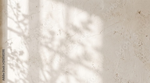Minimalist beige Venetian plaster wall texture with subtle organic leaf shadow