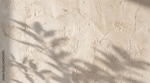 Minimalist beige Venetian plaster wall texture with subtle organic leaf shadow