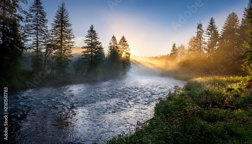 misty river flowing through a foggy forest at sunrise