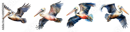 Elegant watercolor painting showcases a flock of pelicans in flight on black background