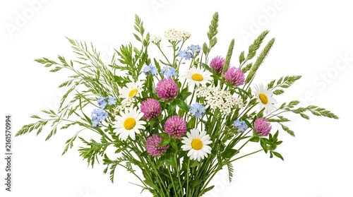 Beautiful bouquet of wild meadow flowers with daisies and clover isolated on a clean white background