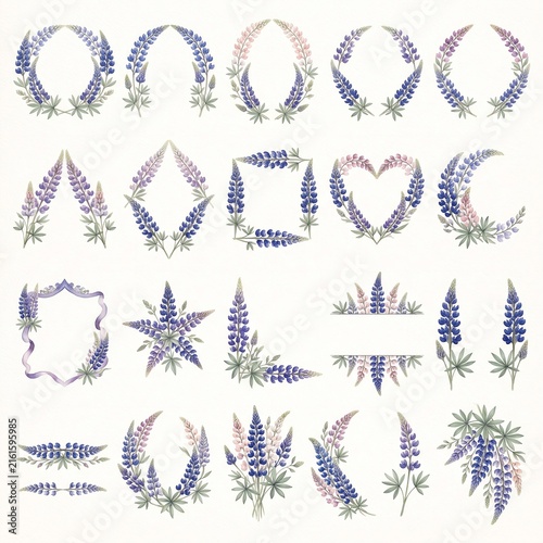 Lupine Watercolor Floral Frames, Wreaths, Borders, Banners, Bouquets and Botanical Elements Collection