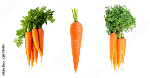 Fotografie Fresh baby carrots with green tops isolated PNG, bunch of orange root vegetables