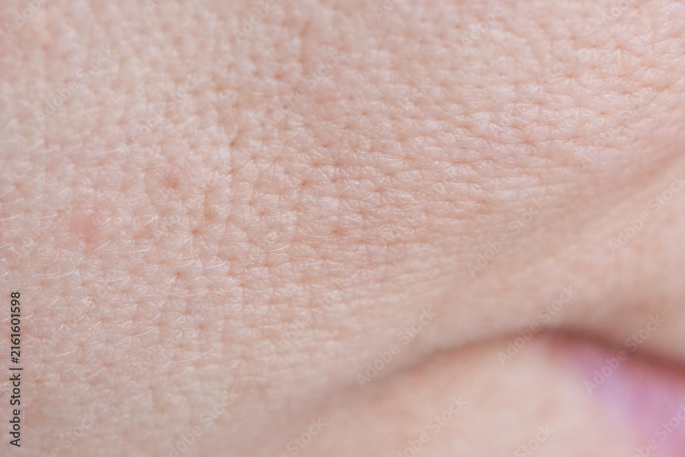 Fototapeta premium Facial Skin Closeup With Visible Fine Lines Pores And Textured Surface On Cheek Near Nasolabial Area In Soft Neutral Lighting Macro Clinical Observation For Skin Analysis.