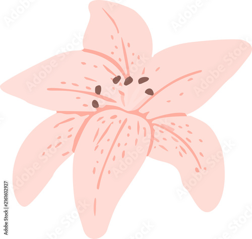 Pink Lily Flower Clipart Collection with Leaves and Buds, Botanical Floral Illustration