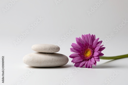 Empty stone podium mockup for cosmetic product display with purple gerbera flower. Minimalist spa background template with natural stone stack platform for organic beauty branding, creative copy space