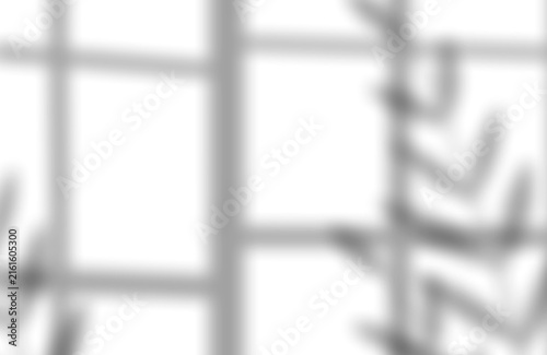 Abstract foliage shadow overlay pattern with displays soft blurred on transparent background