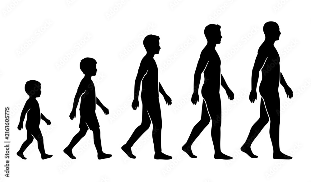 Obraz premium Human growth stages from child to adult black and white silhouette vector illustration