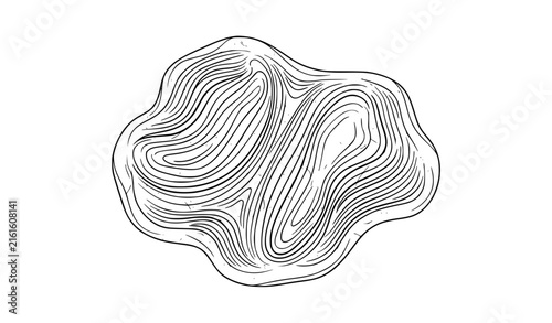 Freeform Pressed Cotton Pulp Linear Score Relief Vector Illustration
