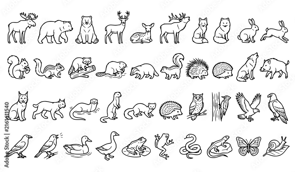 Obraz premium Forest Animals Line Art Set, Woodland Moose, Bear, Deer, Fox, Rabbit, Squirrel and Owl Vector Collection