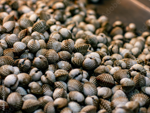 фотографія Fresh Blood Cockle Shells Piled Together Close Up Seafood Market Texture