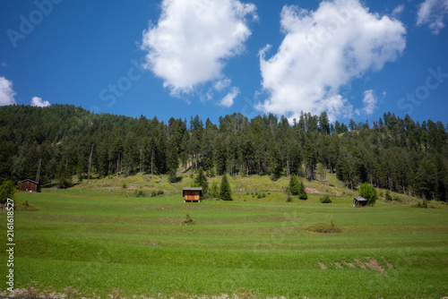 Mountains and forest with small wooden cabins on a sunny day in a rural area