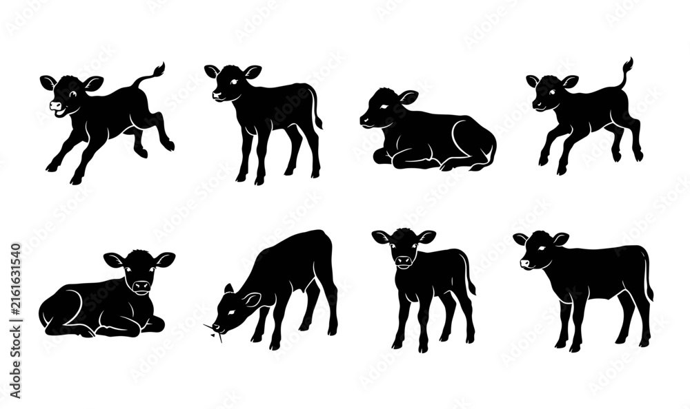 Fototapeta premium Cute Baby Cow and Calf Silhouette Set Featuring Various Poses Like Running, Standing, Sitting, and Grazing for Farm and Livestock Graphic Designs
