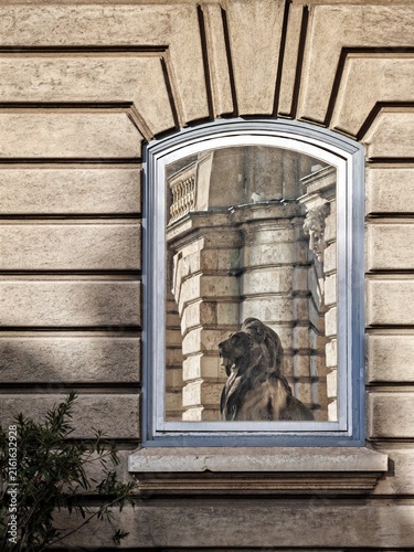 Photography lion head statue in budapest