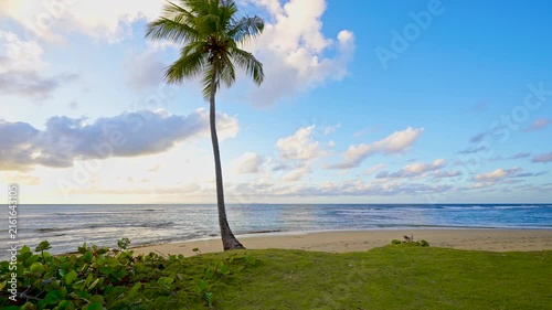 Evening minimalist tropical beach. Coconut palm and blue sky over the sea. Morning summer landscape of a tropical paradise island. Summer beach landscape, vacation or tropical trip to the Indian Ocean