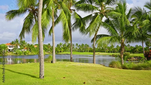 Beautiful palm trees on a golf course under a blue sky with a lake in the background. A peaceful outdoor sports atmosphere. Picturesque green grass. Lush green tree branches in the foreground.