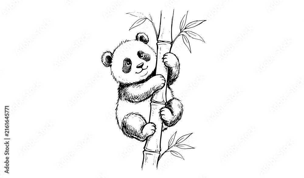 Naklejka premium Cute Panda Climbing Bamboo Hand Drawn Sketch Vector Illustration