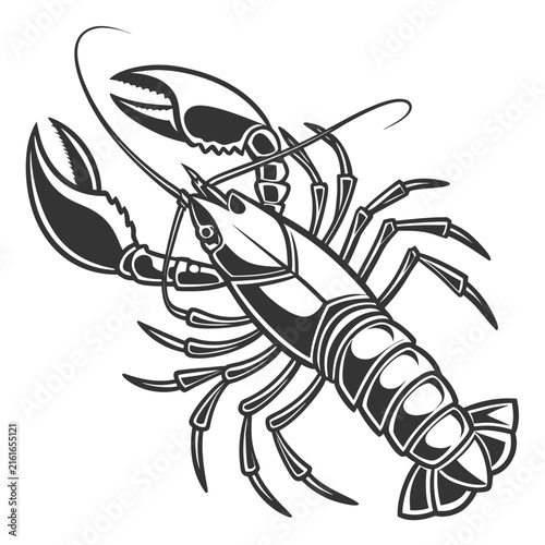 Black and white of a lobster with large claws isolated on a white background, crustacean seafood marine