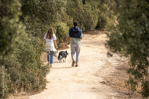 Bild auf Leinwand Distant view of a couple and their dog strolling down a sandy forest trail surrounded by lush greenery
