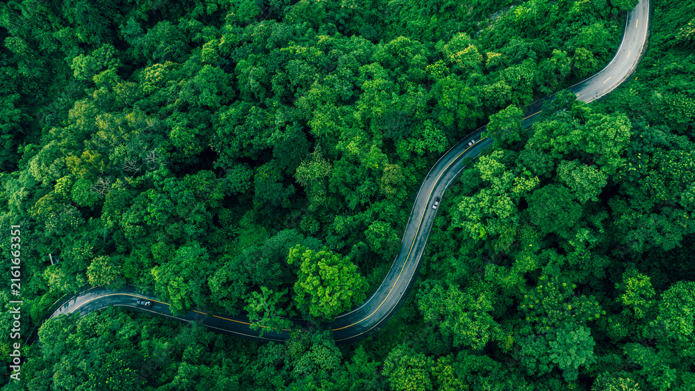 Fototapeta premium Aerial Tropical Forest Road for Sustainability Report and Green Infrastructure