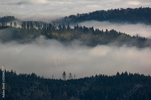 Montagnes en automne
