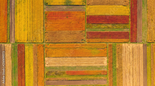 An amazing drone photograph shows a patchwork of colorful agricultural fields during autumn. The geometric farming landscape creates beautiful abstract patterns directly.