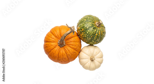 Fotografía Three different gourds and pumpkins arranged together on a white background