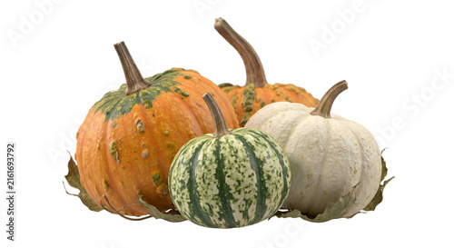 Fotografía Assortment of colorful gourds and pumpkins arranged with dried leaves for autumn