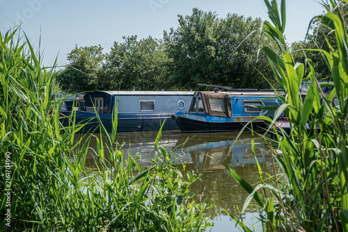 Moored narrowboats viewed between tall summer reeds along a quiet English inland waterway.