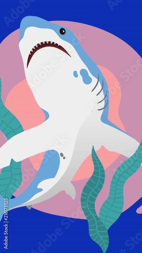 Animation of shark on pink and blue background
