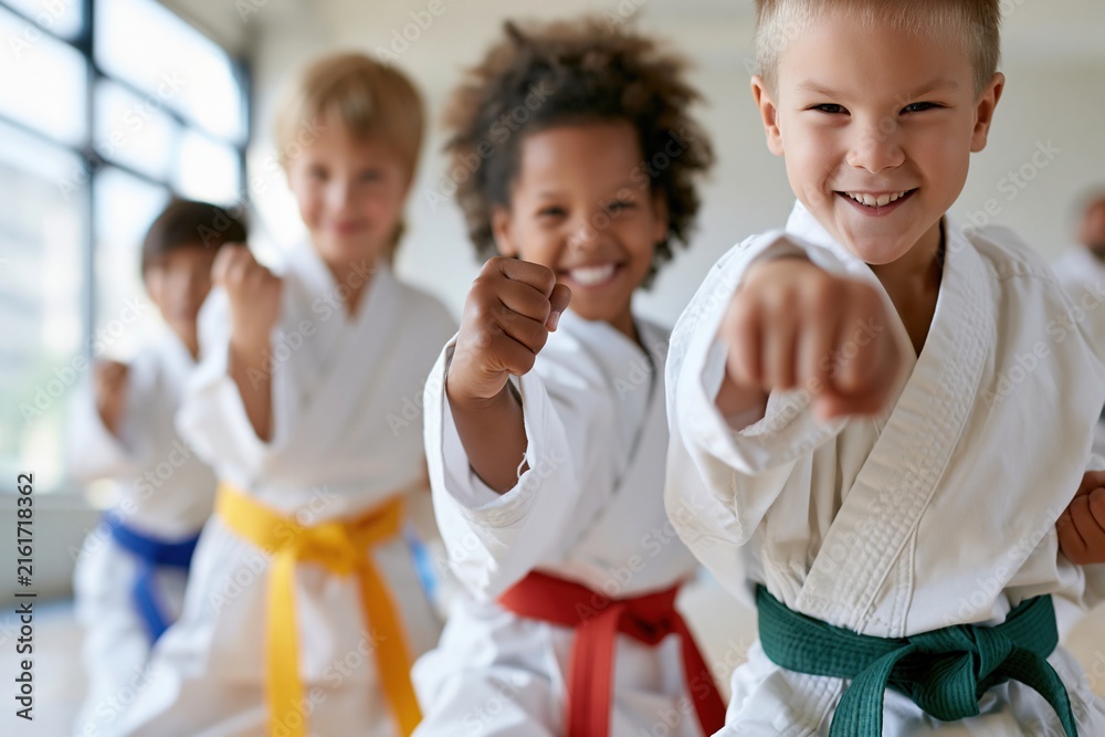 Fototapeta premium Smiling boy practicing a karate punch with classmates