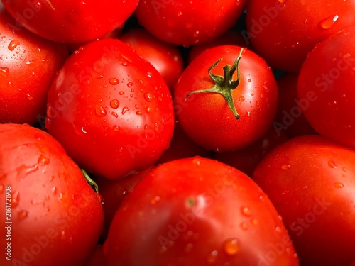 Close-up of fresh ripe red tomatoes covered with water droplets, creating a vibrant natural food background
