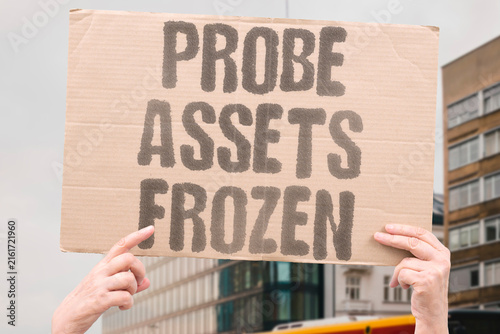 Quadro su tela "Probe Assets Frozen" Corruption case recovered billions