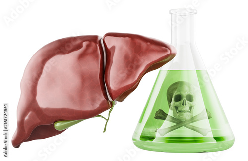 Liver with a flask with toxic green liquid and skull symbol. Hepatotoxicity, chemical poisoning, toxin exposure and liver damage, concept. 3D rendering