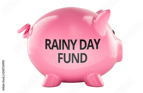 Rainy Day Fund concept with piggy bank. 3D rendering