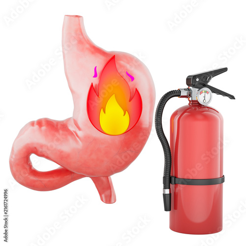 Heartburn and acid reflux concept with stomach and fire extinguisher. 3D rendering