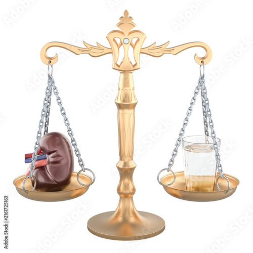 Balance scale with kidney and glass of water. Kidney health, hydration, fluid balance, renal function and urinary system care, concept. 3D rendering