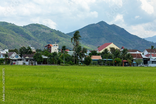 Fotografía Lush green rice field with traditional houses and mountains in the background under a cloudy sky in a rural area of Southeast Asia
