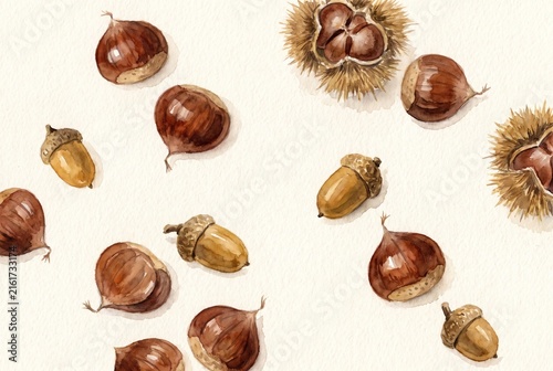 Watercolor illustration of chestnuts and acorns scattered on paper. Artistic painting of autumn forest nuts. Botanical art background for seasonal harvest and thanksgiving decoration.