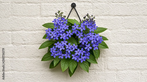 Vibrant purple flowers in a hanging planter against a white wall  