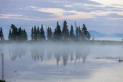fog on the lake