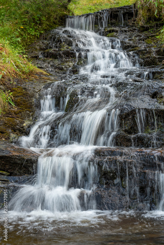Silk Waters: Forest Creek Traversing Natural Steps